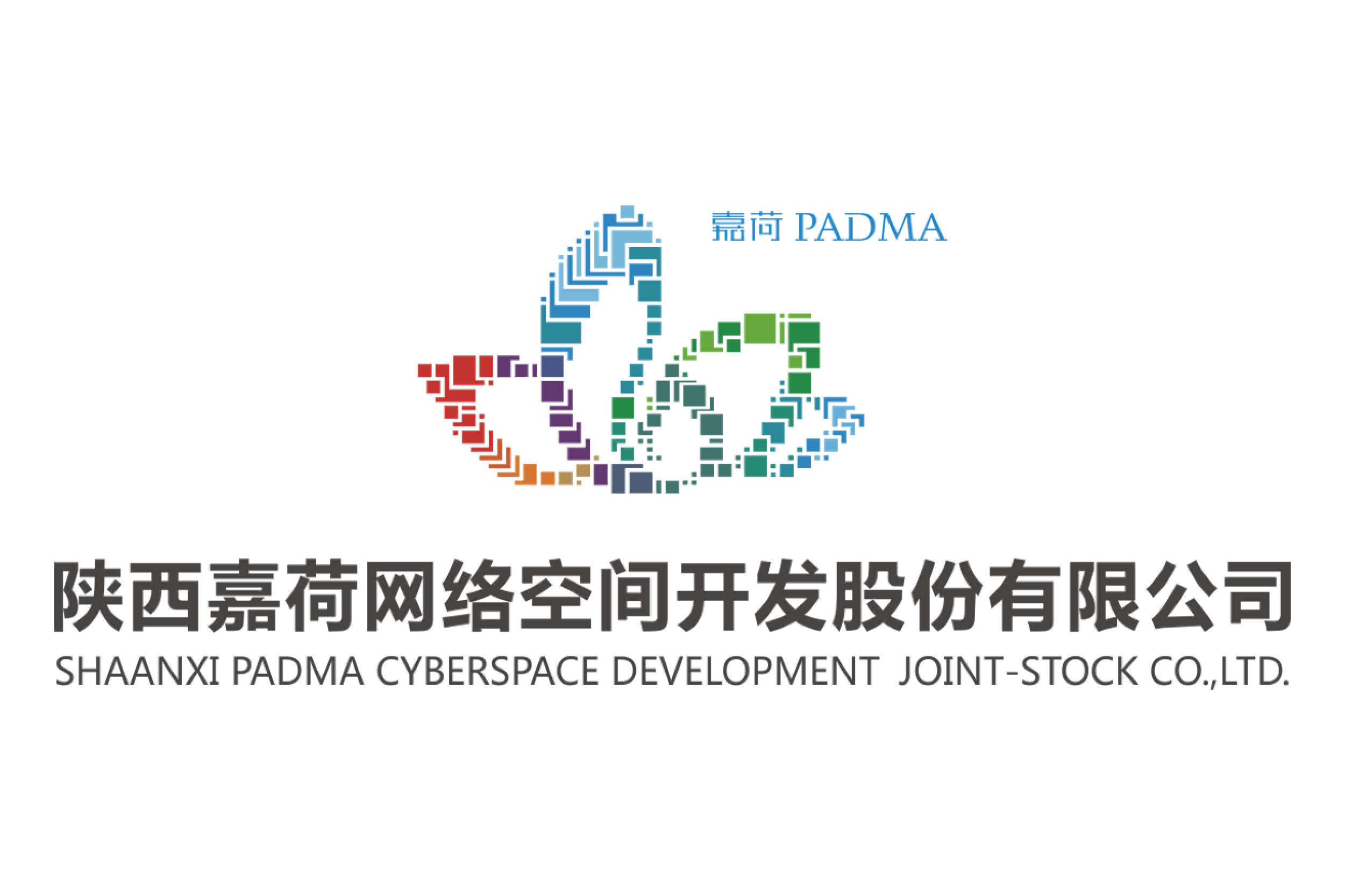 陕西嘉荷网络空间开发股份有限公司